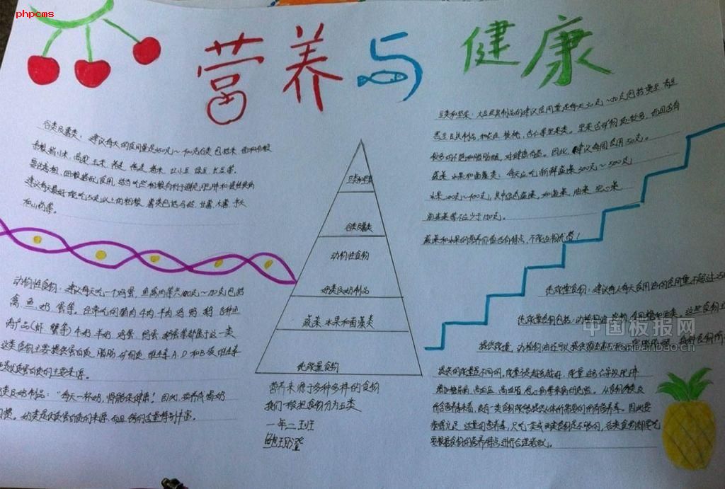 营养从哪里来手抄报大全
