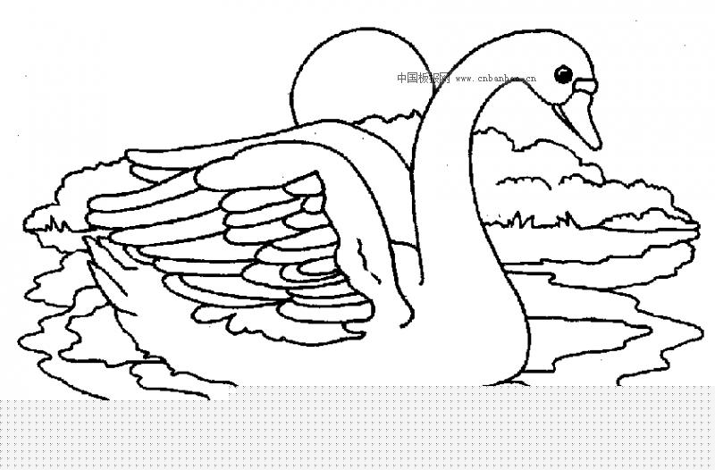 ʻ滭ȫ_ʻͼƬ