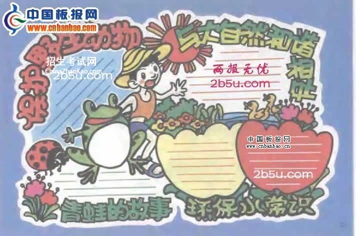 保护野生动物手抄报